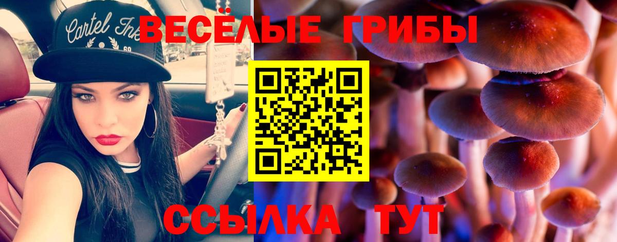 Евпатория  Галлюциногенные грибы прущие грибы  Вход с VPN  где можно купить наркотик  Псилоцибиновые грибы Psilocybine cubensis 